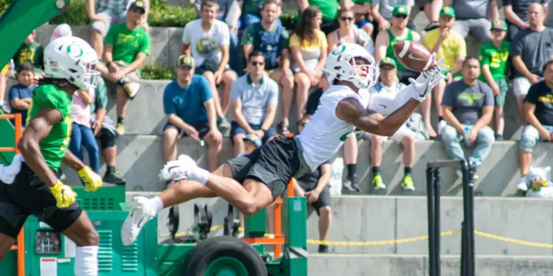 Greybeard critical essays 02 image